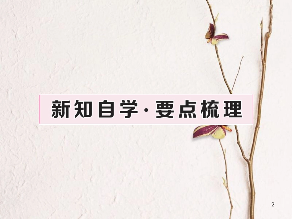 八年级历史下册 第五单元 国防建设与建设成就 第16课 独立自主的和平外交练习课件 新人教版(1)_第2页