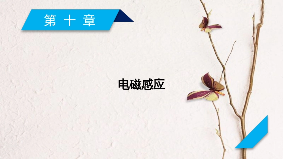 2019年高考物理一轮复习 第10章 电磁感应 第1讲 电磁感应现象 楞次定律课件 新人教版[共58页]_第1页