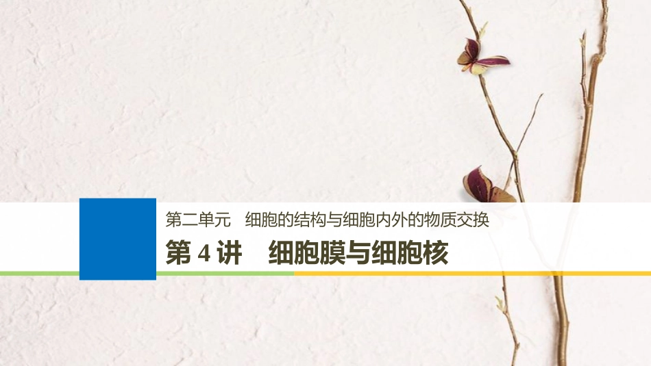 生物高考大一轮复习 第二单元 细胞的结构与细胞内外的物质交换 第4讲 细胞膜与细胞核课件 北师大版_第1页