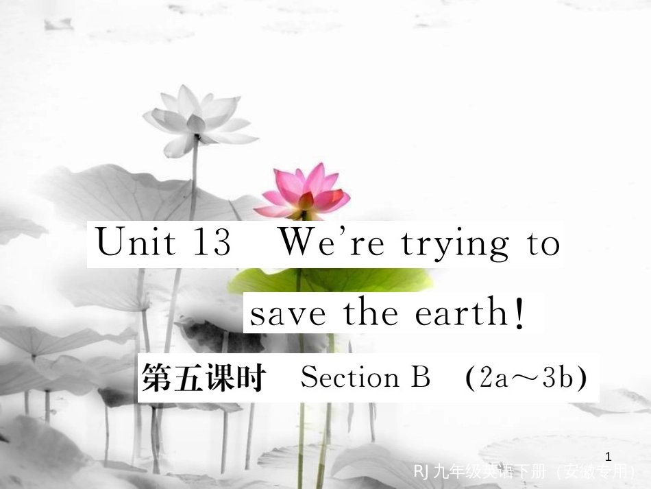 （安徽专版）九年级英语全册 Unit 13 We’re trying to save the earth（第5课时）习题课件 （新版）人教新目标版_第1页