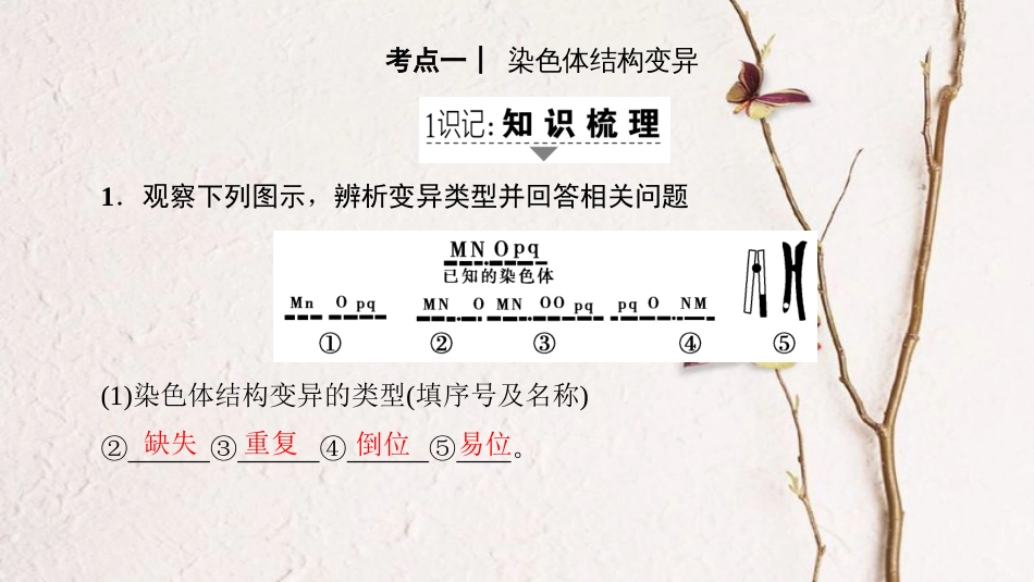 高三生物一轮复习 第7单元 第2讲 染色体变异和人类遗传病课件 新人教版必修2_第2页