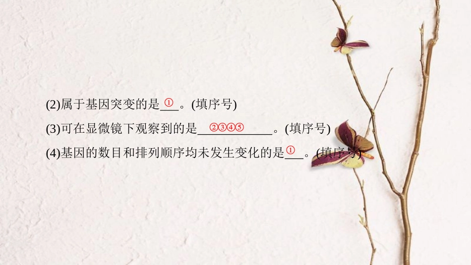 高三生物一轮复习 第7单元 第2讲 染色体变异和人类遗传病课件 新人教版必修2_第3页