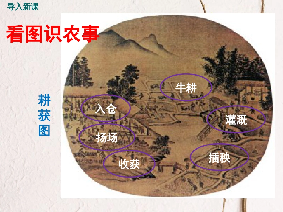 七年级历史下册 第二单元 辽宋夏金元时期：民族关系发展和社会变化 第9课 宋代经济的发展课件 新人教版[共21页](1)_第2页