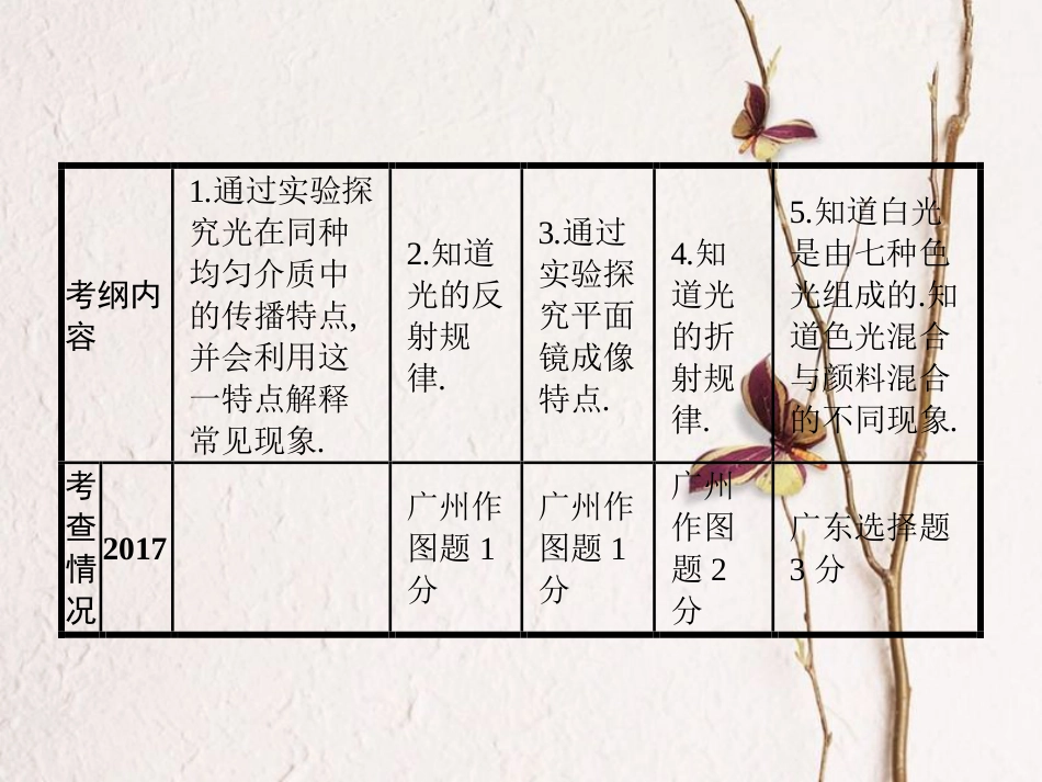 中考物理 第四章 光现象复习课件 新人教版(1)_第2页