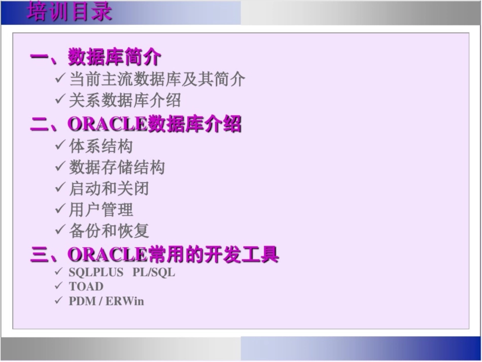 oracle数据库入门(培训课件)全解_第2页