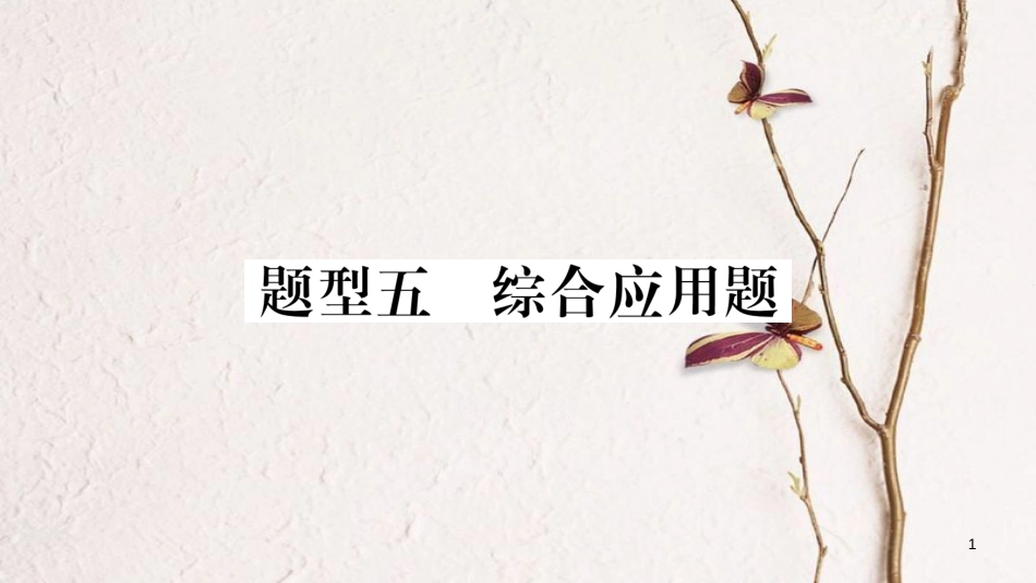 （广西北部湾专版）中考物理总复习 第2篇 专题突破 题型5 综合应用题课件(1)_第1页