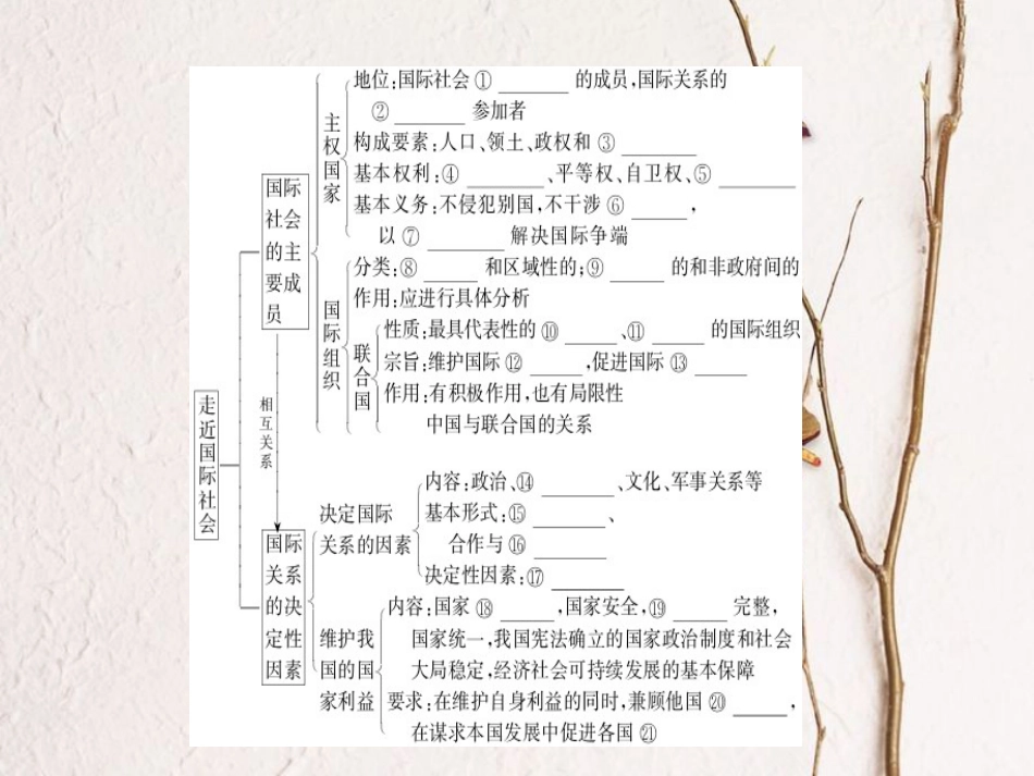 2019年高考政治一轮复习 第四单元 当代国际社会 8 走进国际社会课件 新人教版必修2[共45页]_第3页