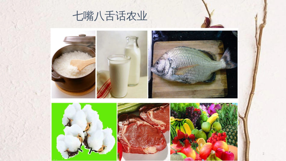 八年级地理上册 第四章第一节农业课件 （新版）湘教版[共40页](1)_第2页
