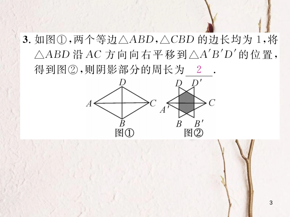 （毕节专版）八年级数学下册 第3章 图形的平移与旋转重难点突破作业课件 （新版）北师大版_第3页