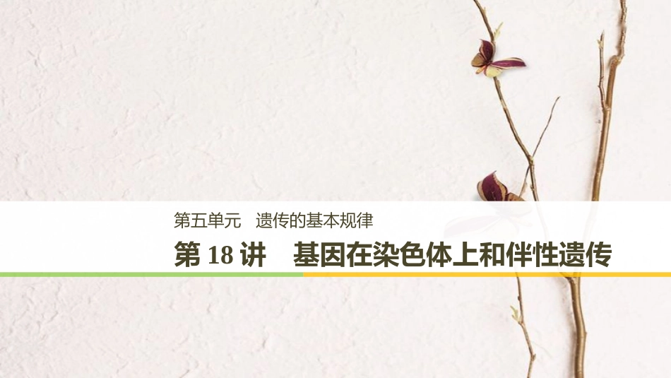 高考生物一轮复习 第5单元 遗传的基本规律 第18讲 基因在染色体上和伴性遗传课件_第1页