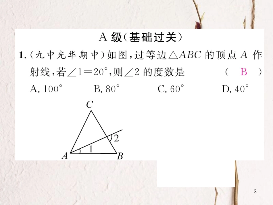 （成都专版）八年级数学下册 第1章 三角形的证明 1 等腰三角形 第2课时 等边三角形的性质作业课件 （新版）北师大版(1)_第3页