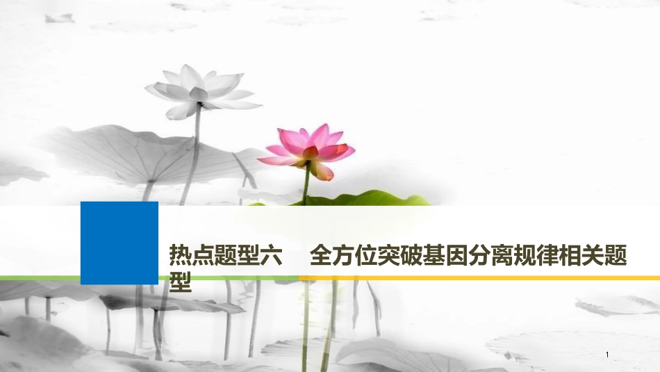 2019版生物高考大一轮复习 热点题型六 全方位突破基因分离规律相关题型课件 北师大版_第1页