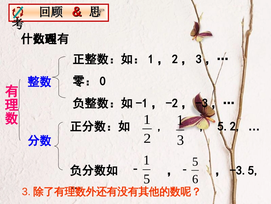 八年级数学下册 7.3 根号2是有理数吗课件 （新版）青岛版_第2页