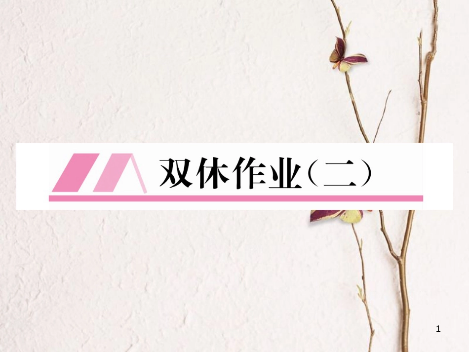 九年级数学下册 双休作业(二)作业课件 (新版)华东师大版_第1页