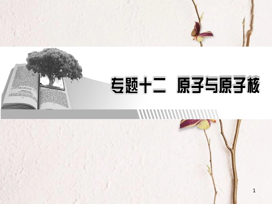 高考物理一轮总复习 专题12 原子与原子核 第1讲 波粒二象性课件(1)_第1页