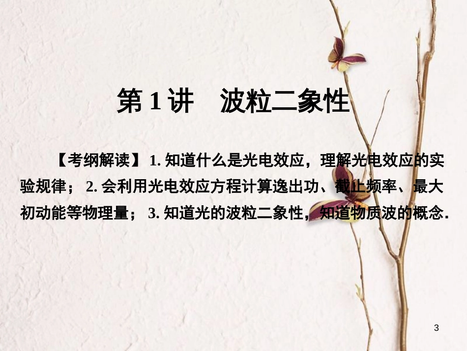 高考物理一轮总复习 专题12 原子与原子核 第1讲 波粒二象性课件(1)_第3页