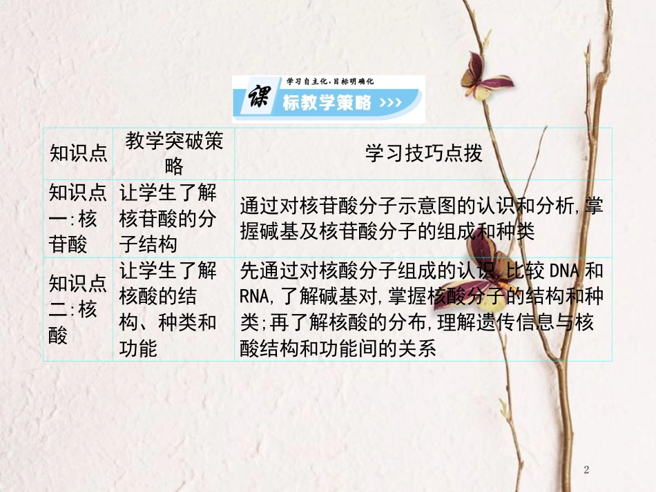 高中生物 第2单元 细胞的化学组成 第4课时 细胞中的生物大分子（三）复习课件 苏教版必修1(1)_第2页