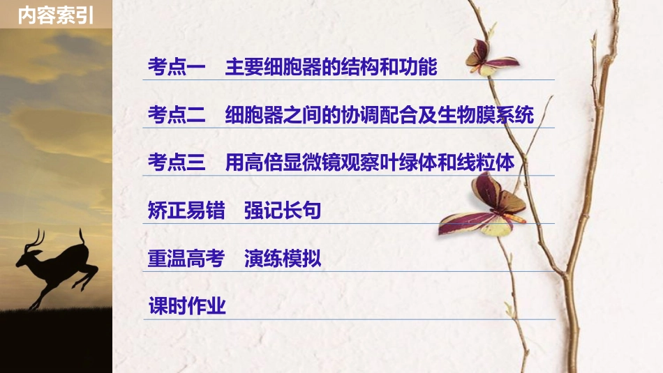 高考生物大一轮复习 第二单元 细胞的基本结构和物质的运输 第5讲 细胞器和生物膜系统课件_第3页