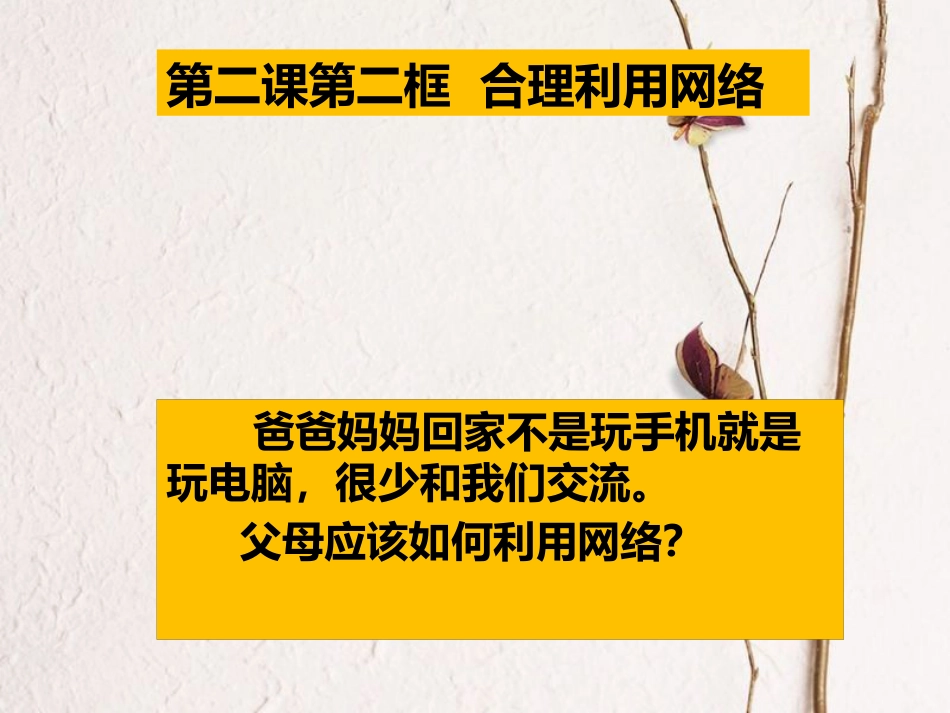 内蒙古鄂尔多斯市八年级道德与法治上册 第一单元 走进社会生活 第二课 网络生活新空间 第2框 合理利用网络课件 新人教版(1)_第1页