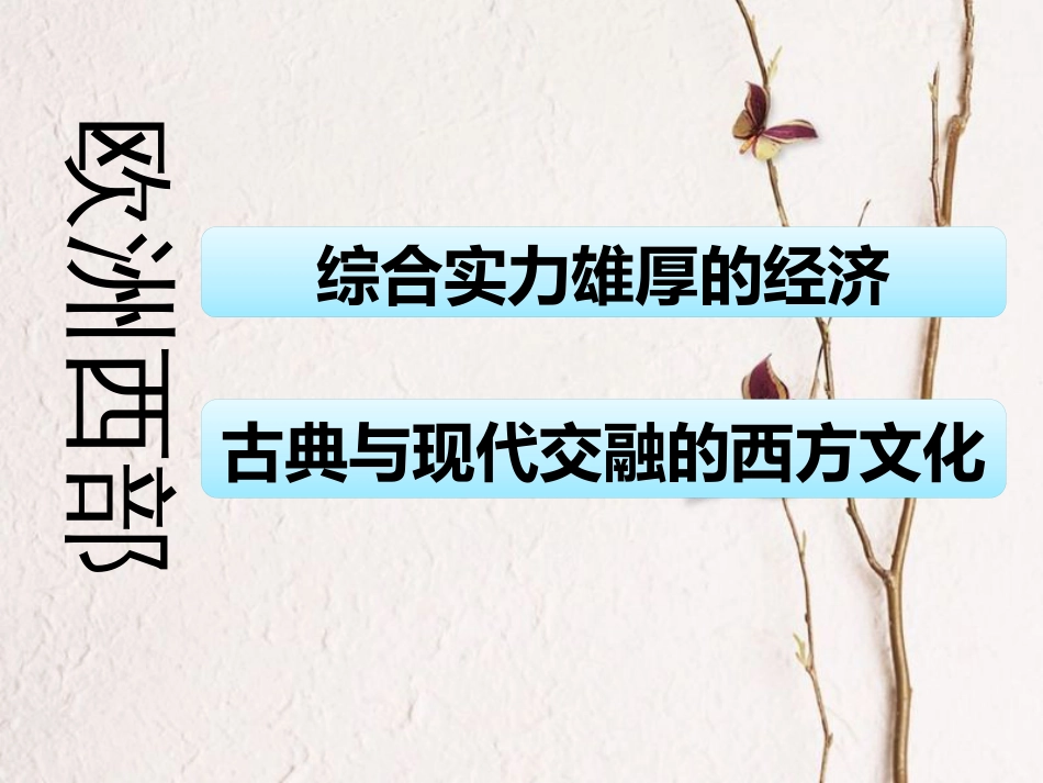 广东省佛冈县七年级地理下册 8.2 欧洲西部课件 （新版）粤教版_第2页