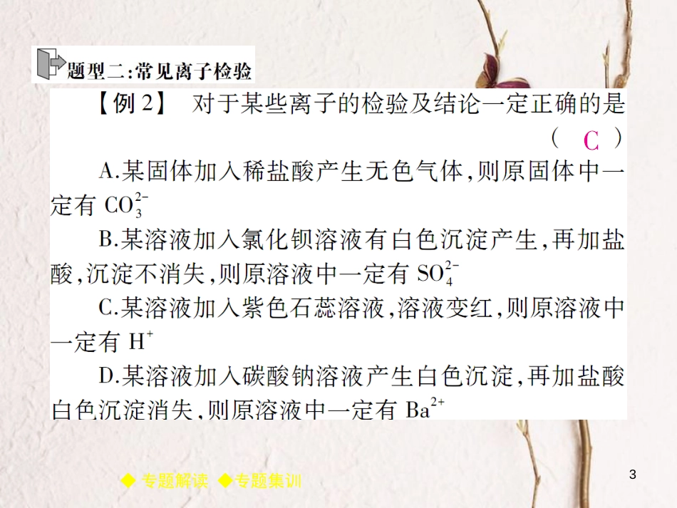 九年级化学下册 专题特训 复分解反应的应用（一）习题课件 （新版）新人教版_第3页