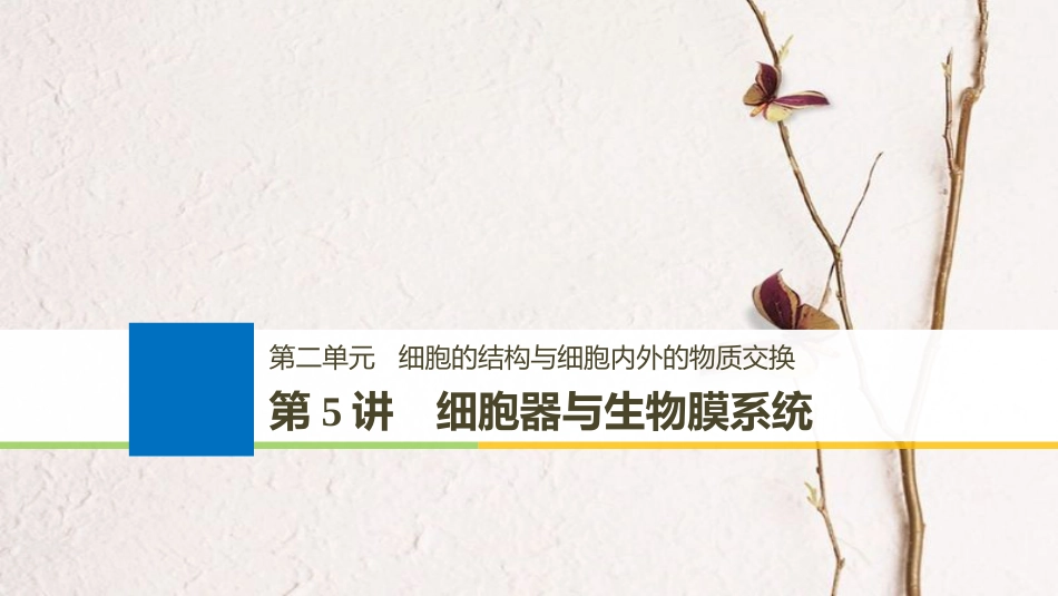 生物高考大一轮复习 第二单元 细胞的结构与细胞内外的物质交换 第5讲 细胞器与生物膜系统课件 北师大版(1)_第1页