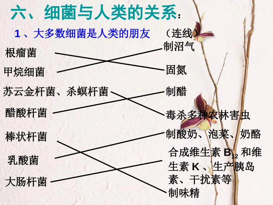 江西省万载县八年级生物上册 5.2.1酵母菌和霉菌课件 （新版）冀教版_第1页