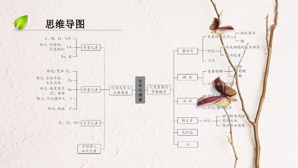 （深圳专用）中考化学总复习 第4部分 化学与生活 第15讲 化学与健康课件 （新版）新人教版_第3页