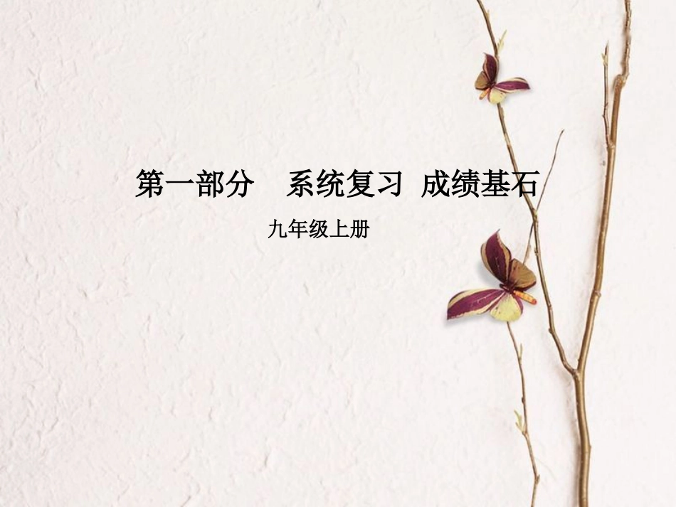 安徽省中考英语 第一部分 系统复习 成绩基石 九全 第23讲 课件_第1页