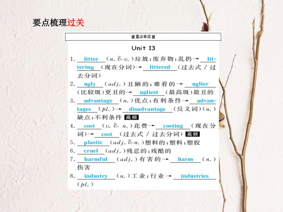 安徽省中考英语 第一部分 系统复习 成绩基石 九全 第23讲 课件_第3页