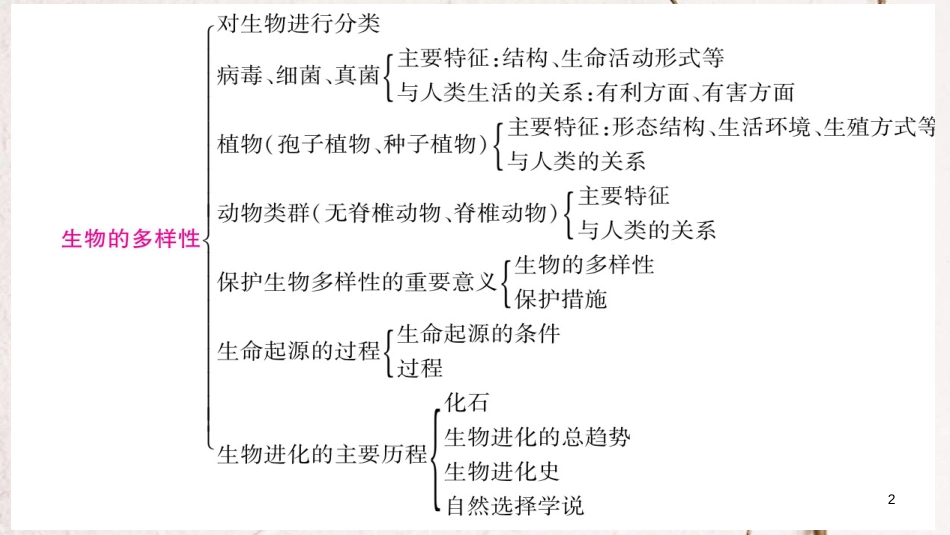 中考生物总复习 知能综合突破 专题7 生物的多样性课件_第2页