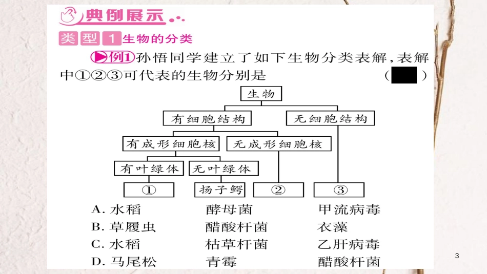 中考生物总复习 知能综合突破 专题7 生物的多样性课件_第3页