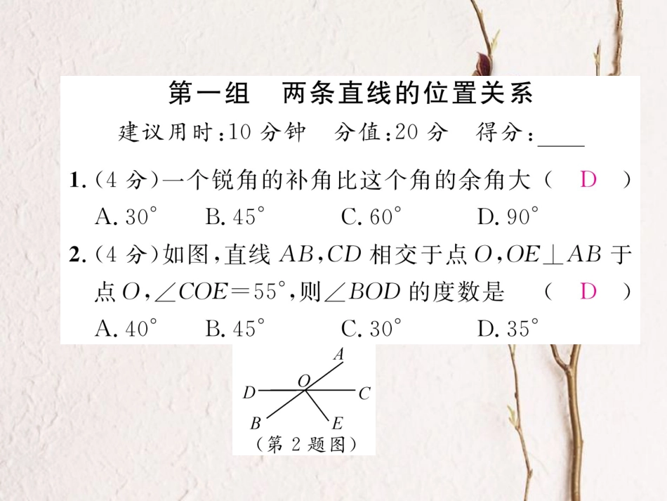 （毕节专版）七年级数学下册 双休作业（三）作业课件 （新版）北师大版(1)_第2页