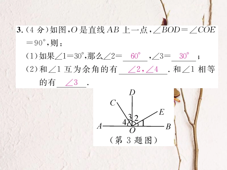 （毕节专版）七年级数学下册 双休作业（三）作业课件 （新版）北师大版(1)_第3页