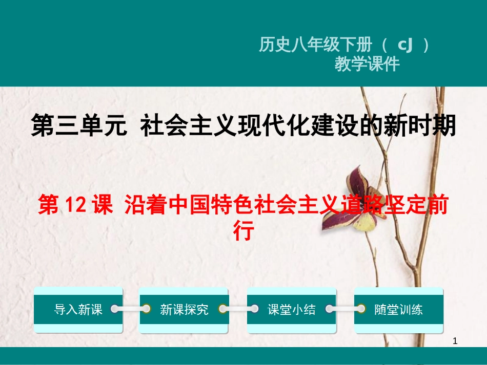 八年级历史下册 第三单元 社会主义现代化建设的新时期 第12课 沿着中国特色社会主义道路坚定前行教学课件 川教版_第1页