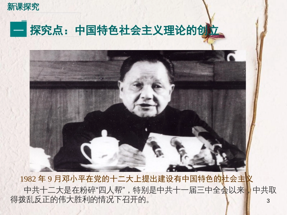 八年级历史下册 第三单元 社会主义现代化建设的新时期 第12课 沿着中国特色社会主义道路坚定前行教学课件 川教版_第3页