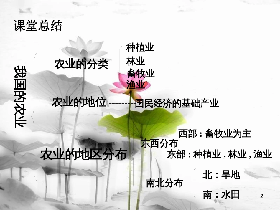 八年级地理上册 4.1稳步发展的农业课件 晋教版_第2页