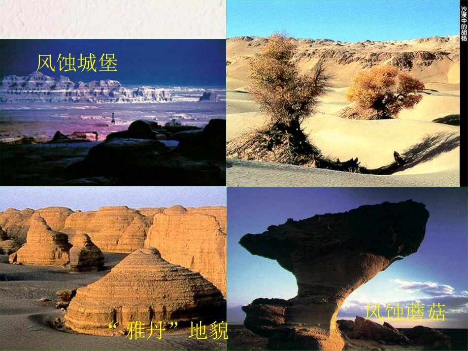 八年级地理下册 第五章 第三节 西北地区和青藏地区复习课件（新版）湘教版_第2页