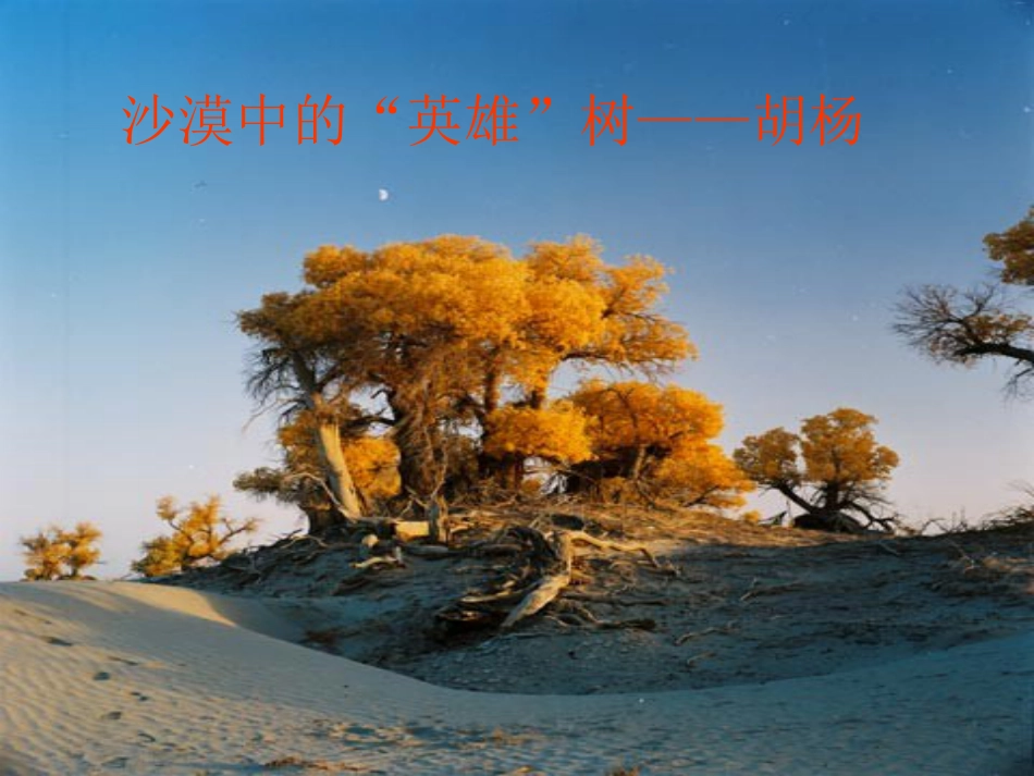 八年级地理下册 第五章 第三节 西北地区和青藏地区复习课件（新版）湘教版_第3页