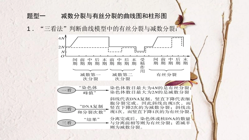 高考生物大一轮精讲复习 小专题六 减数分裂和有丝分裂题型突破课件_第2页