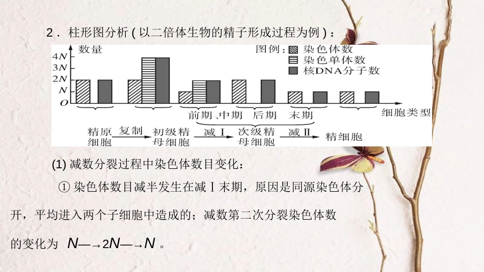 高考生物大一轮精讲复习 小专题六 减数分裂和有丝分裂题型突破课件_第3页