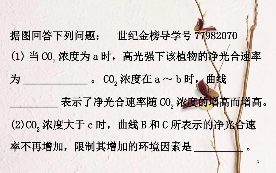 高考生物大一轮复习 高考提分课 光合速率和呼吸速率的关系解读及测定课件_第3页