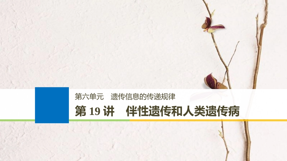 生物高考大一轮复习 第六单元 遗传信息的传递规律 第六单元 第19讲 伴性遗传和人类遗传病课件 北师大版_第1页