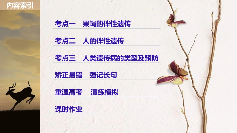 生物高考大一轮复习 第六单元 遗传信息的传递规律 第六单元 第19讲 伴性遗传和人类遗传病课件 北师大版_第3页