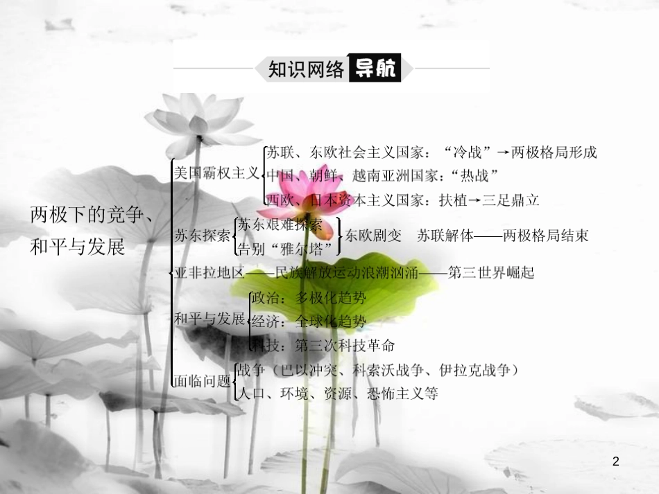 （聊城专版）中考历史复习 世界史 主题21 两极下的竞争、和平与发展课件(1)_第2页