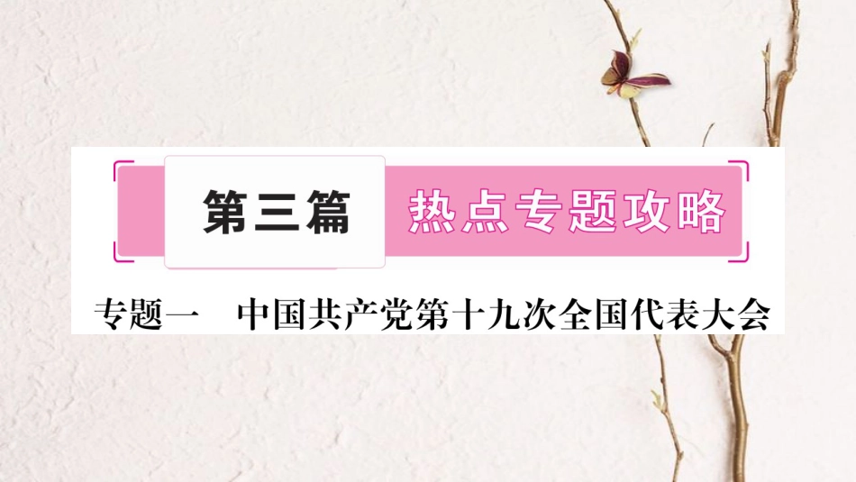 （广西专版）中考政治总复习 专题1 中国共产党第十九次全国代表大会课件 教科版_第1页