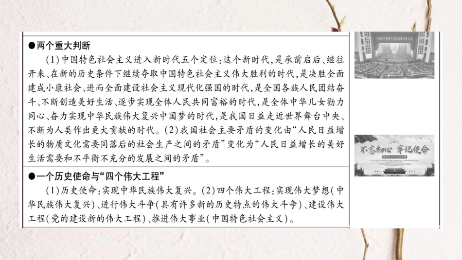 （广西专版）中考政治总复习 专题1 中国共产党第十九次全国代表大会课件 教科版_第3页