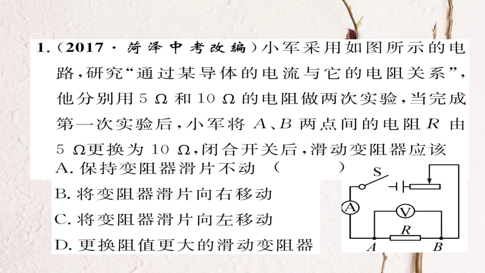 九年级物理全册 专题复习三 探究电流与电压、电阻的关系  伏安法测电阻习题课件 （新版）新人教版_第2页
