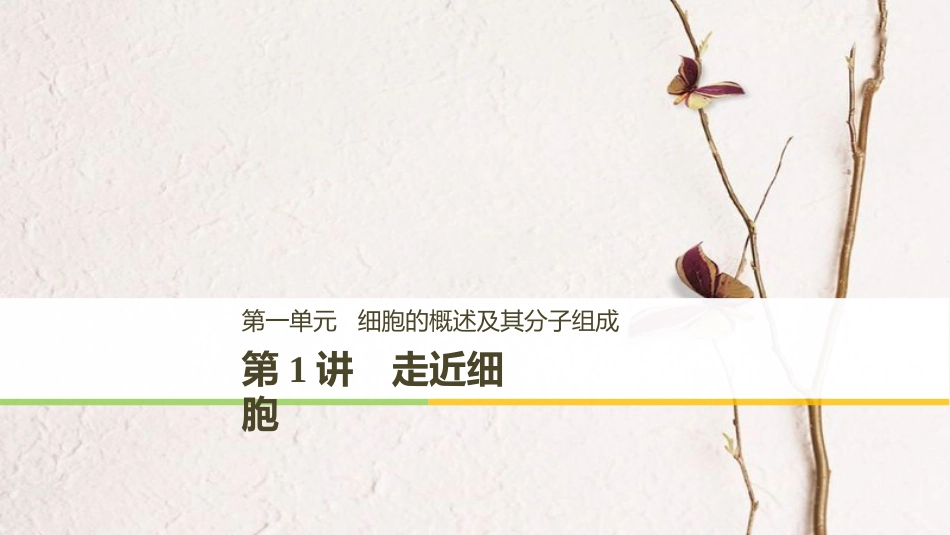高考生物一轮复习 第1单元 细胞的概述及其分子组成 第1讲 走近细胞课件(1)_第1页