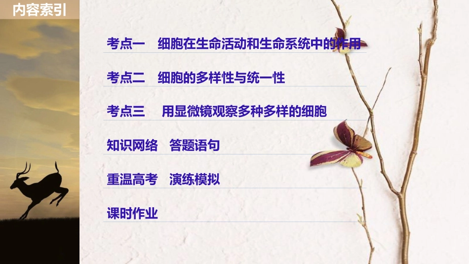 高考生物一轮复习 第1单元 细胞的概述及其分子组成 第1讲 走近细胞课件(1)_第3页
